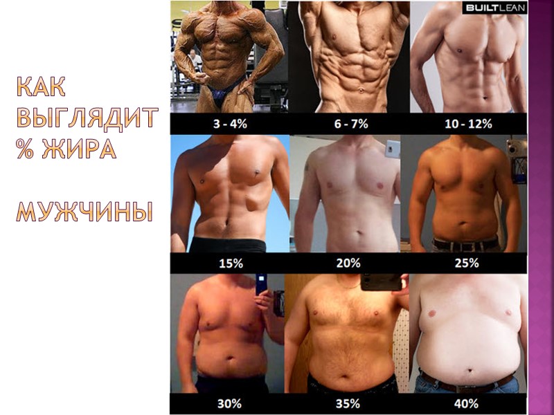 Как выглядит      % жира  мужчины